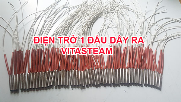Điện trở 1 đầu dây ra